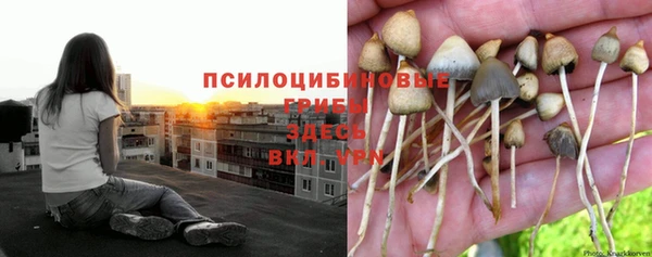 кокаин VHQ Алексеевка
