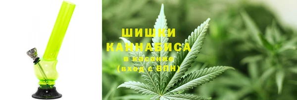 СК Алзамай