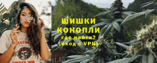 СК Алзамай